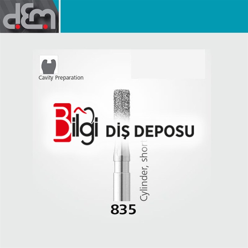 DX Sentetik Elmas Frez - 835 - Silindir - 10 Adet