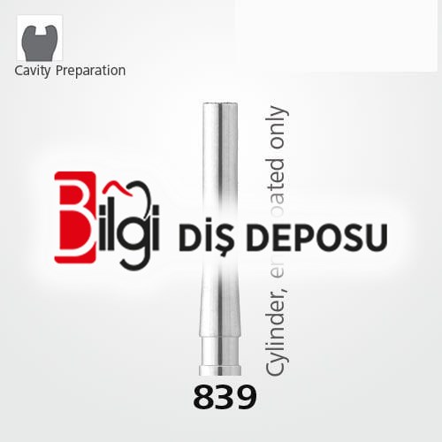 839 Sentetik Elmas Frez - 5 Adet