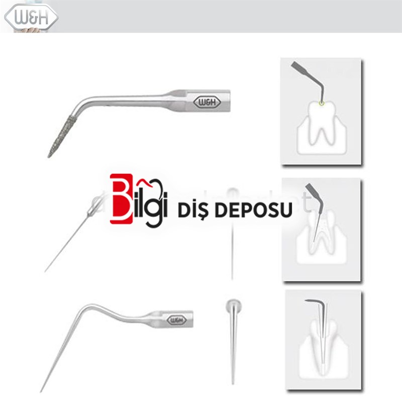 Kavitron-Scaler  Uçları- Endo Uç Set