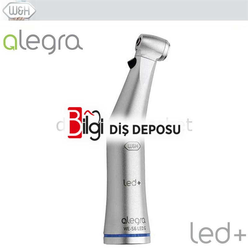 WE-56 LED G Alegra Kendinden Işıklı Anguldurva