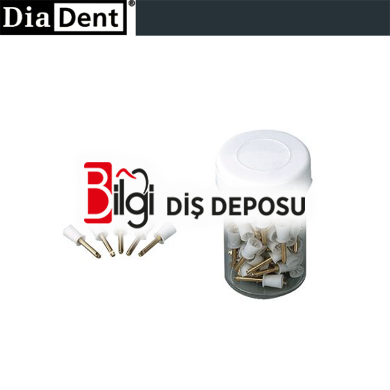 Naylon Detertraj Fırçası