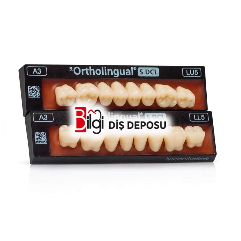 SR Orthotyp S DCL Üst Posterior Diş 8'lik