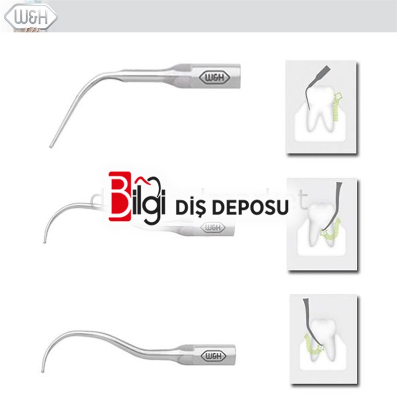 Kavitron-Scaler  Uçları- Perio Set