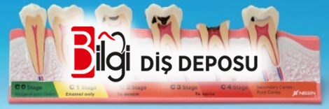 Caries Eğitim Modeli