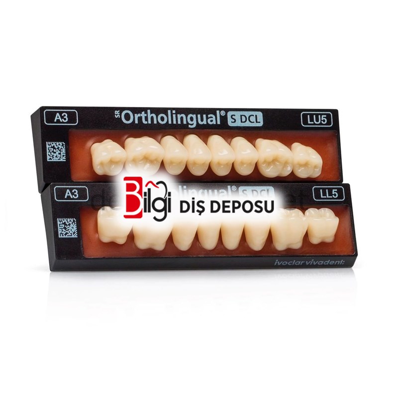 SR Ortholingual S DCL Alt Posterior Diş 8'lik