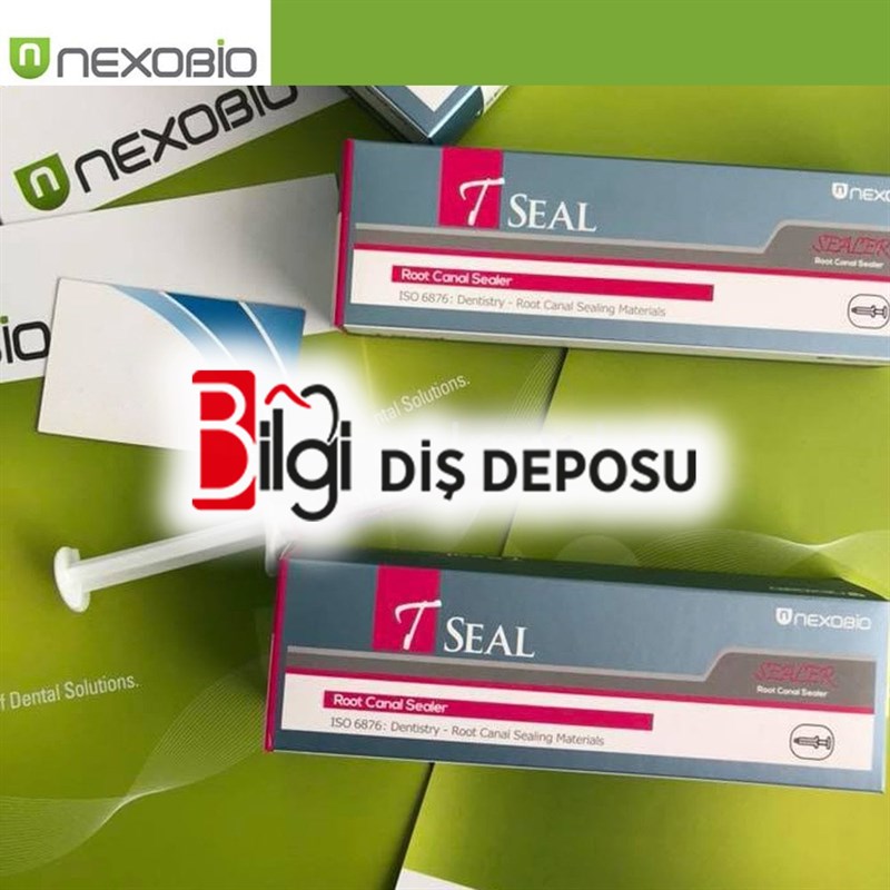 T-Seal Kanal Dolgu Patı 12gr