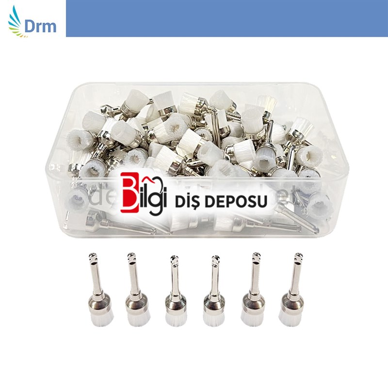 Şeffaf Naylon Detertraj Fırçası - 100 Adet