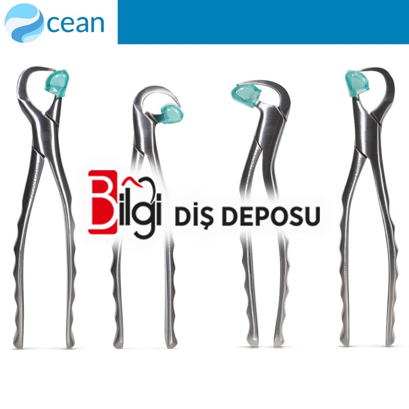 Physics Forceps Fizik Davye Set