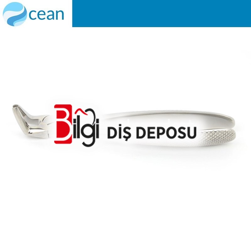 Yetişkin Davye #8 Alt Premolar Dişler