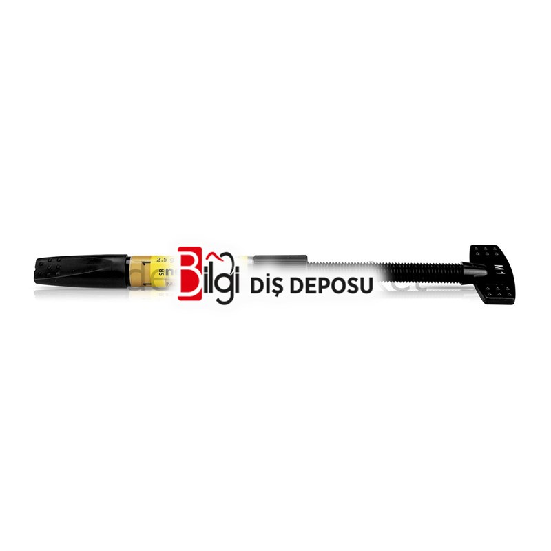 SR Nexco Paste Margin 2.5g - Labaratuar Kompoziti