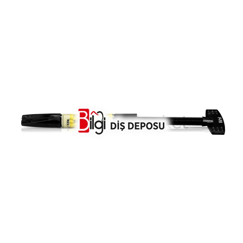 SR Nexco Pontic Fill 2.5g - Labaratuar Kompoziti