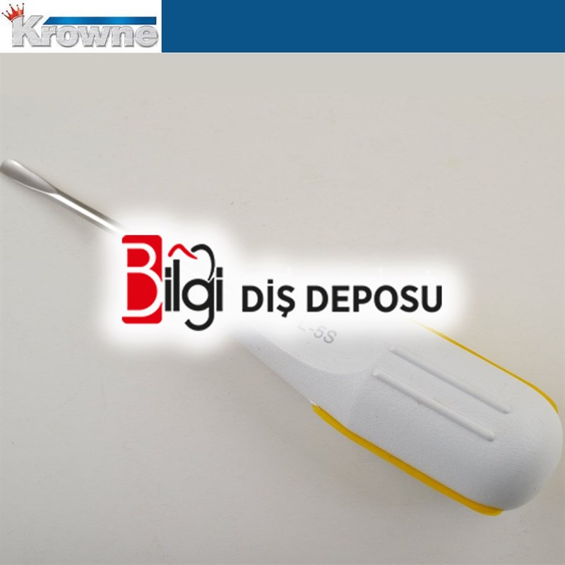 Bein Elevatörü