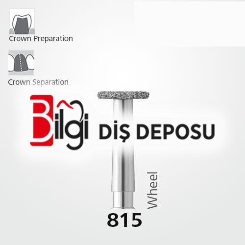 815 Sentetik Elmas Frez - 5 Adet