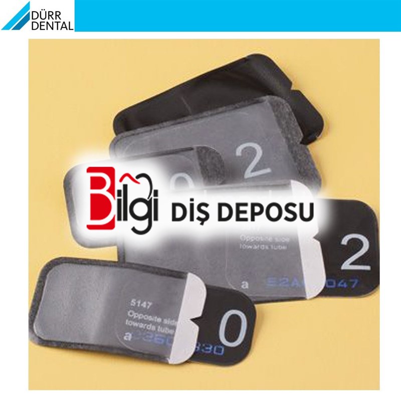 Fosfor Plak Hijyenik Kılıf 300'lü - Size 2