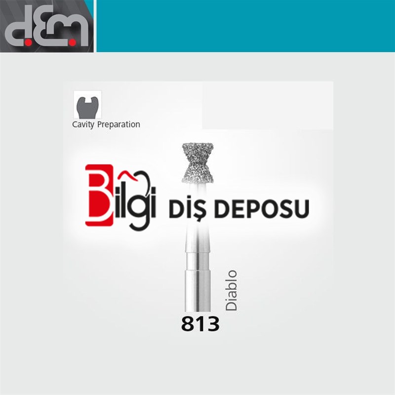 DX Sentetik Elmas Frez - 813 - 10 Adet