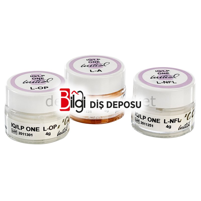 Initial IQ Lustre Pastes ONE 4gr - Boyanabilir Seramik