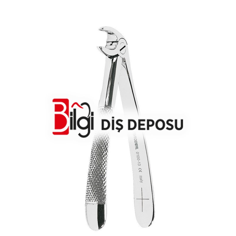 Yetişkin Davye Alt Premolar