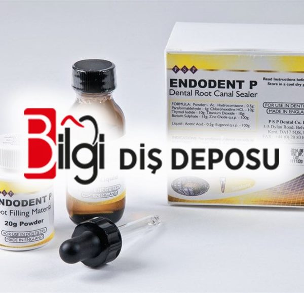 Endodent P Kanal Dolgu Maddesi