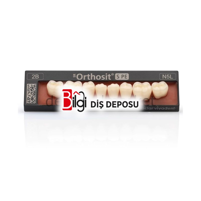 SR Orthosit S PE Alt Posterior Diş 8'lik