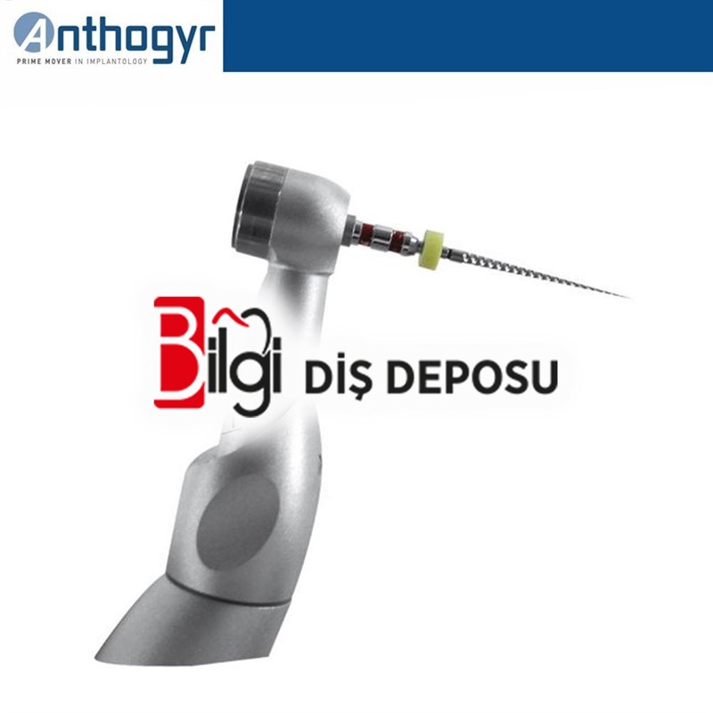 Micro Endo Niti Anguldurva PB 8:1