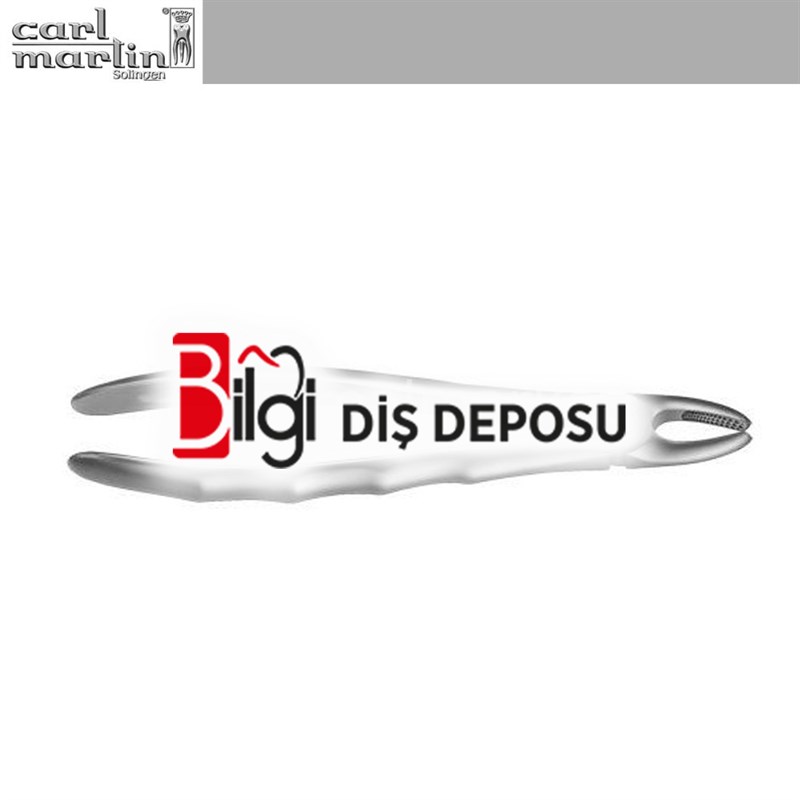Üst Büyük Azı Sol Davye