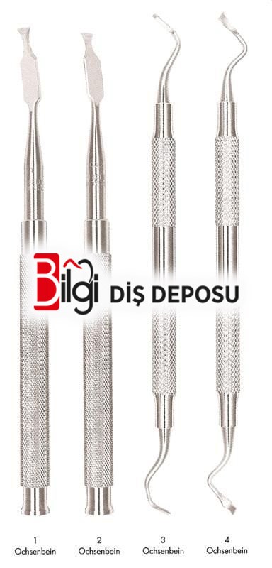Chisels Ochsenbein Kemik Keskisi